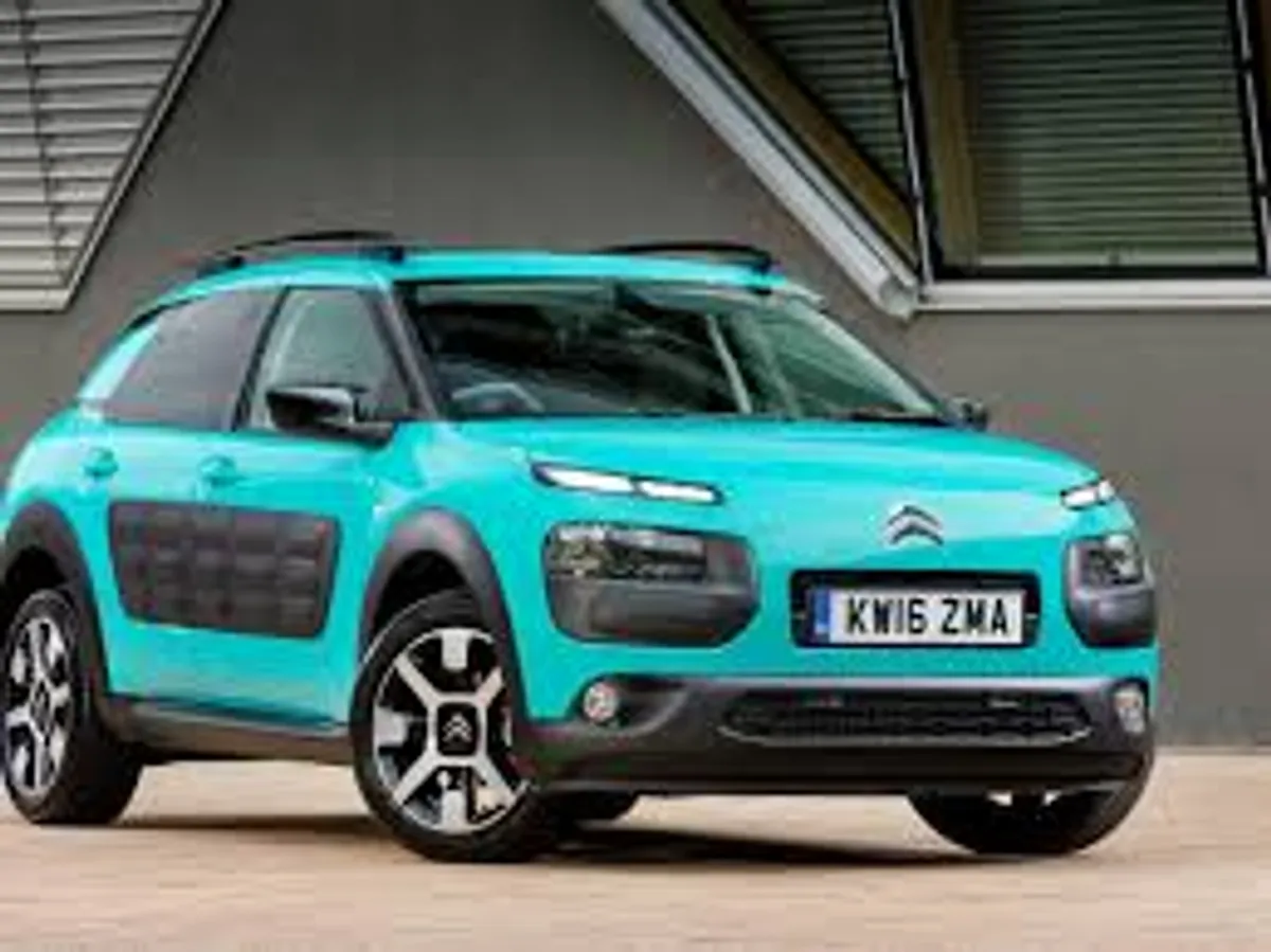 C4 Cactus