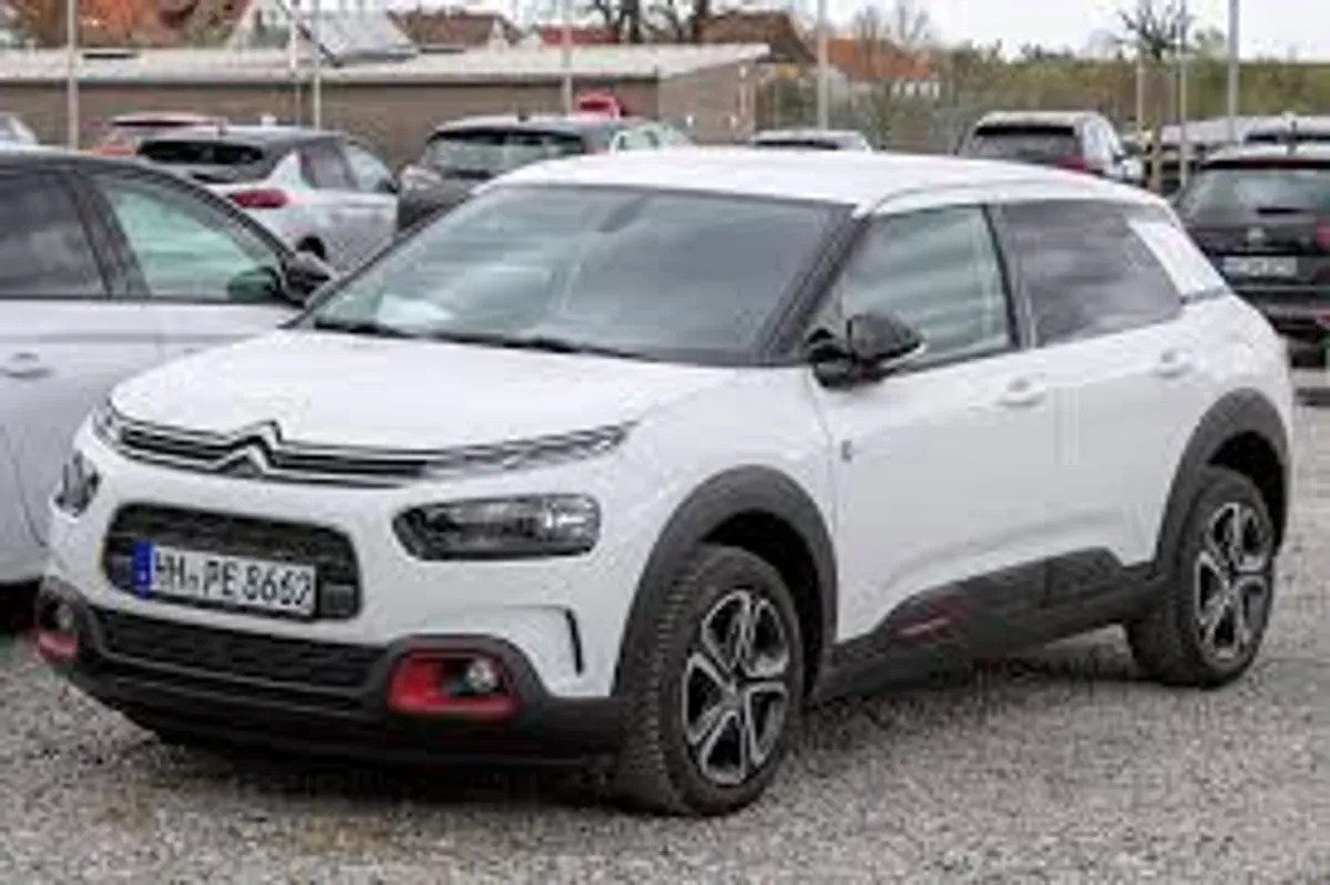 C4 Cactus